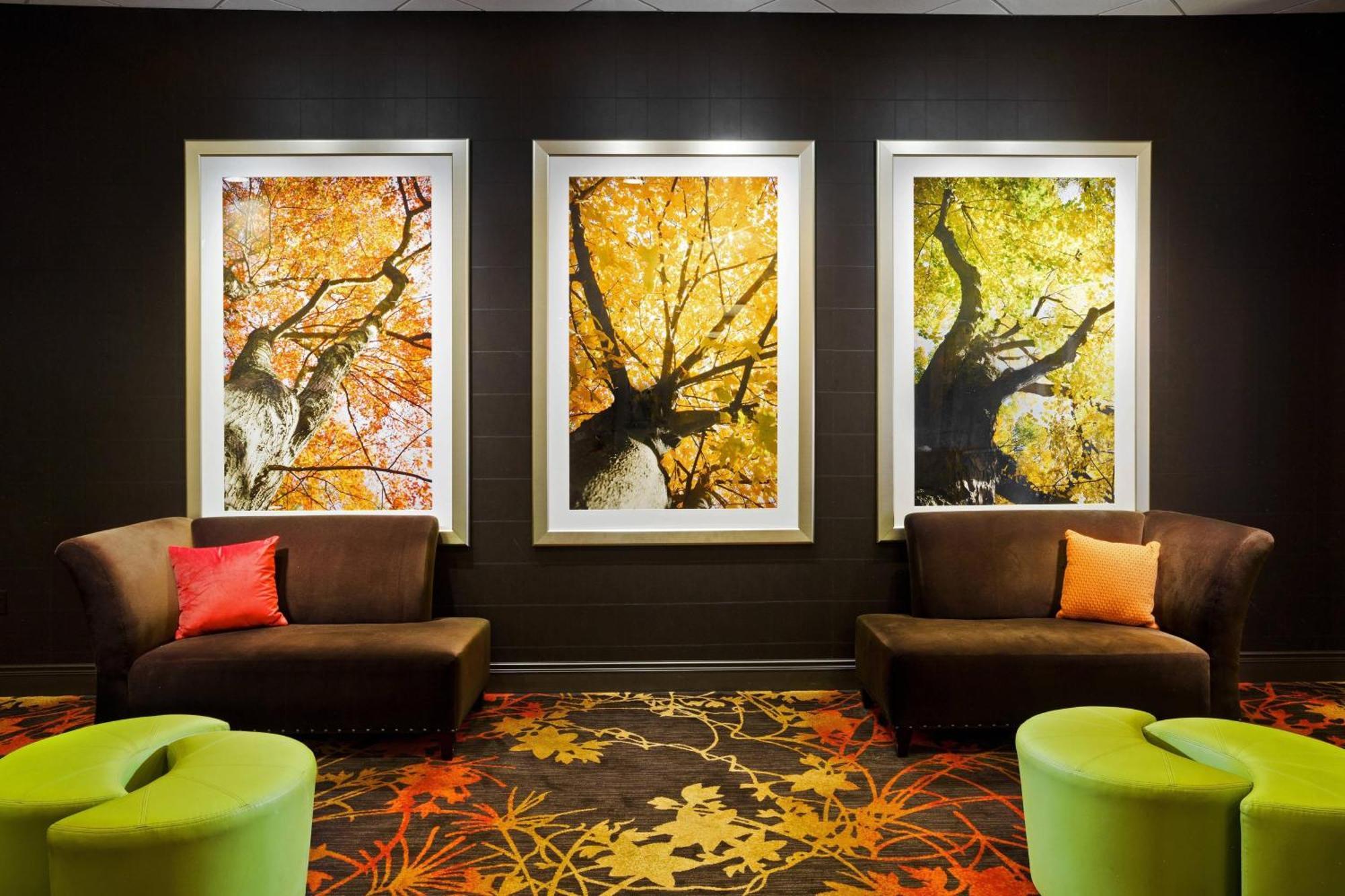 Sheraton Springfield Monarch Place Hotel Esterno foto